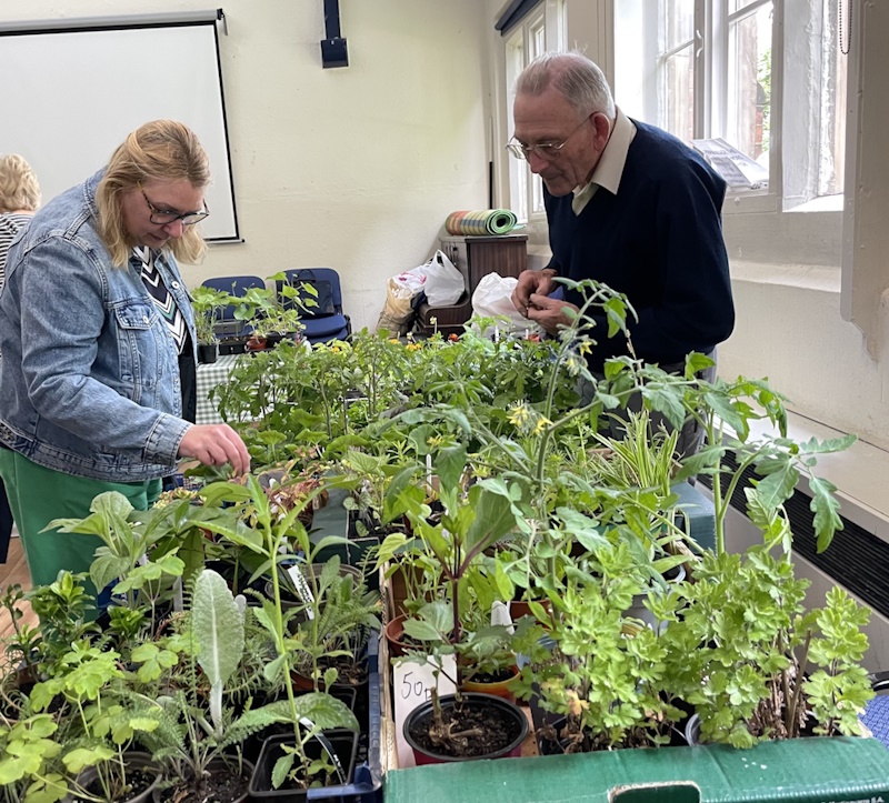 Potted plants on a table for selling, with customer and seller.